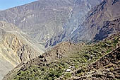 Colca Canyon 